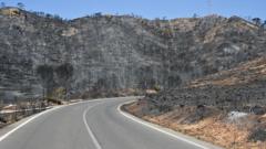 Badly burned British couple rescued from ravine during Spain wildfires, reports say