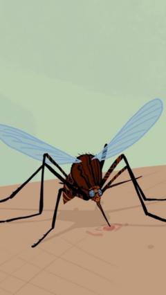 Fighting the world's most deadly animal… in an unexpected way