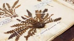 'Hidden time-capsule of UK biodiversity' unlocked