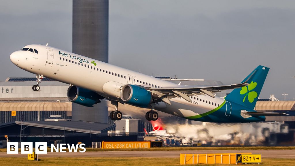 Aer Lingus cancels some flights from summer schedule