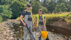 River work to help critically endangered eels