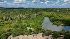 Brazil's Amazon sees sharp decline in size of area burned in 2025