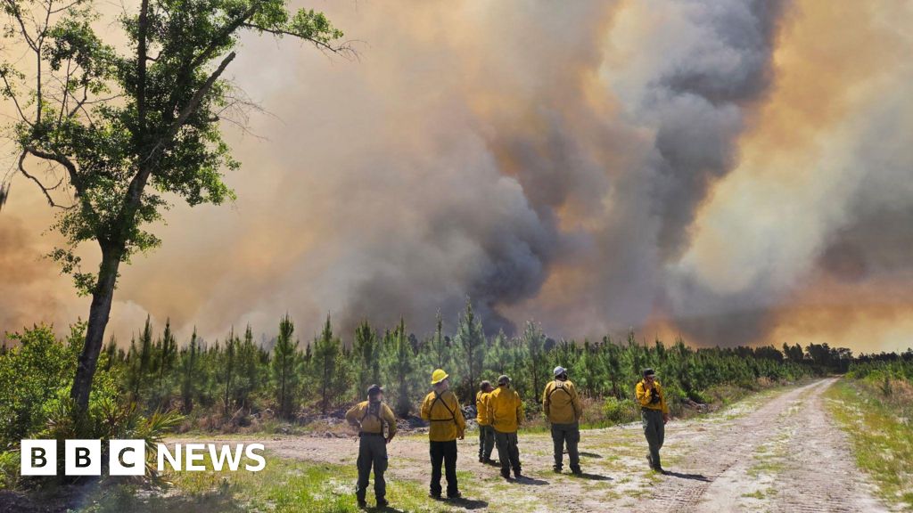 Georgia declares state of emergency as wildfires destroy dozens of homes