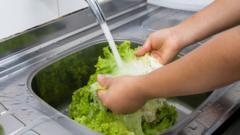 What to know about 'explosive diarrhoea' parasite outbreak in US