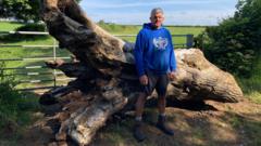 Gates smashed and crops destroyed as farmers threatened by gangs hunting hares