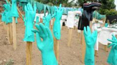 'Speed, money and compassion' - lessons from an Ebola survivor and other experts
