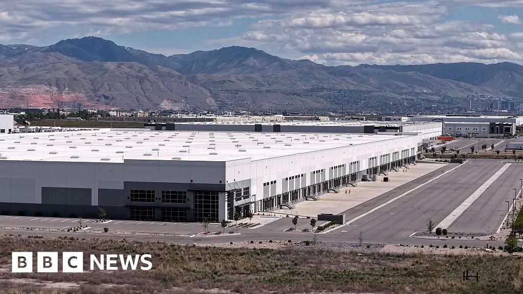 'Mum is finally free!' Pensioner detained by ICE in US returns to France