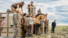 In pictures: 3,000-mile journey to save rare horses