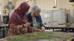 Why scientists watched grass grow for 170 years
