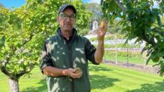 Apple Day called off after poor harvest
