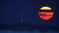 How to see July's full Buck Moon as it rises in the night sky