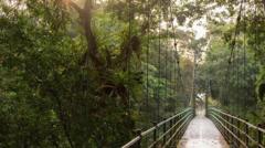 Researchers find millions more insect species