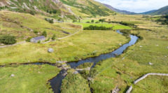 Species 'at risk of vanishing' from area of Wales' largest national park