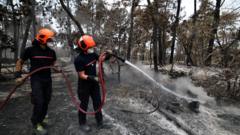 Volunteer firefighter suspected of starting devastating France forest fire