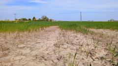 Is UK facing drought for second summer in a row?