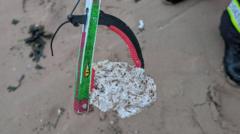 Dog warning as suspected palm oil washes up on beach