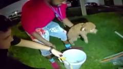 Watch: Puppy rescued from drain using a bucket and cheese