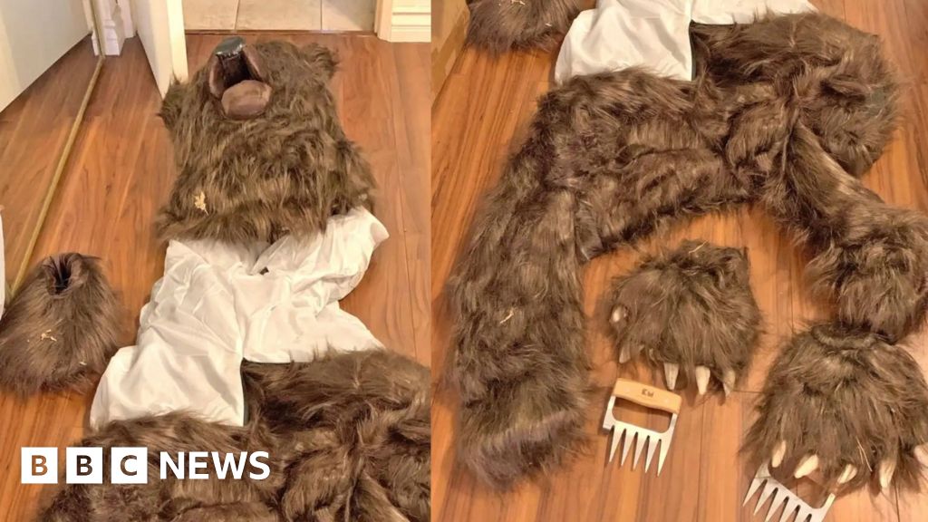 Three sentenced for 'man in bear suit' insurance scam