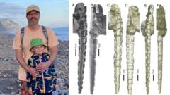 Fossil found on Welsh beach ends 'confusion' over 200-million-year-old fish teeth
