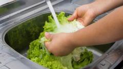 US reports first two deaths linked to  'explosive diarrhoea' outbreak