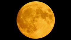 Buck Moon lights up Devon and Cornwall skies