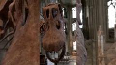 Fossil identified as first dinosaur ever found in Antarctica