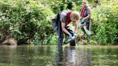 Real-time monitoring to protect chalk stream