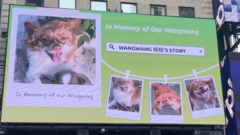 Blocked by censors, China's animal lovers take fight against abuse offline and overseas