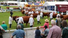 Controversial farm subsidy scheme gets billion pound budget