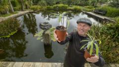 Rare tree offspring given lifeline at Scottish botanic garden
