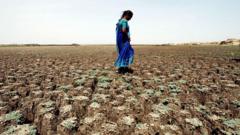 Farming worries after India records driest June in over a decade
