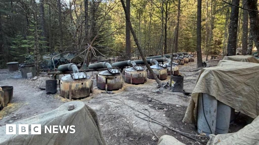 Role of US officials killed in crash in Mexico under scrutiny