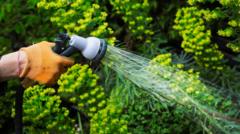 Everything you need to know about the hosepipe ban