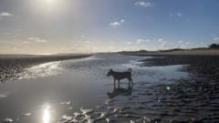 Late September warmth before wind and rain return this week