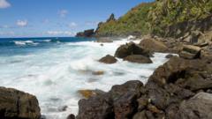 Woman isolating on British island in South Pacific after hantavirus contact