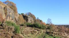 More trees and nature spaces in council green plan