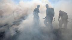 Does 'rewilded' land need better wildfire prevention measures?