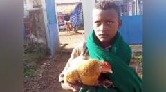 Boy, 12, wins hearts after trying to check sick chicken into Ethiopian hospital