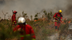 Firefighters battle wildfire as tens of thousands evacuated near Bordeaux