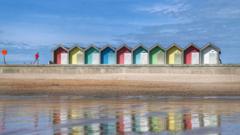 Creosote found in beach pollution investigation
