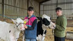 Farmers' warning as milk prices fall below cost
