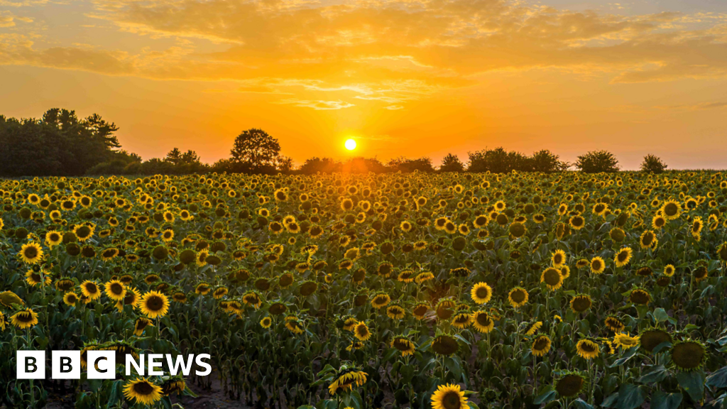 Fewer heat-related deaths in 2025 despite warmest summer
