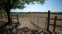 Drought conditions may worsen before improving as little rain in sight