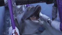 Belugas and dolphins rescued from closed Canadian park arrive in Spain