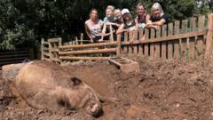 Animal sanctuary facing closure due to hot weather