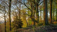 Nature recovery zones inspired by Attenborough