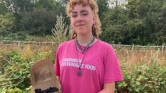 'Why we are rescuing unpicked blackberries'