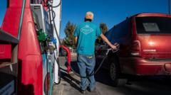 Trump wants to reduce the cost of fuel as the midterms loom - will it work?