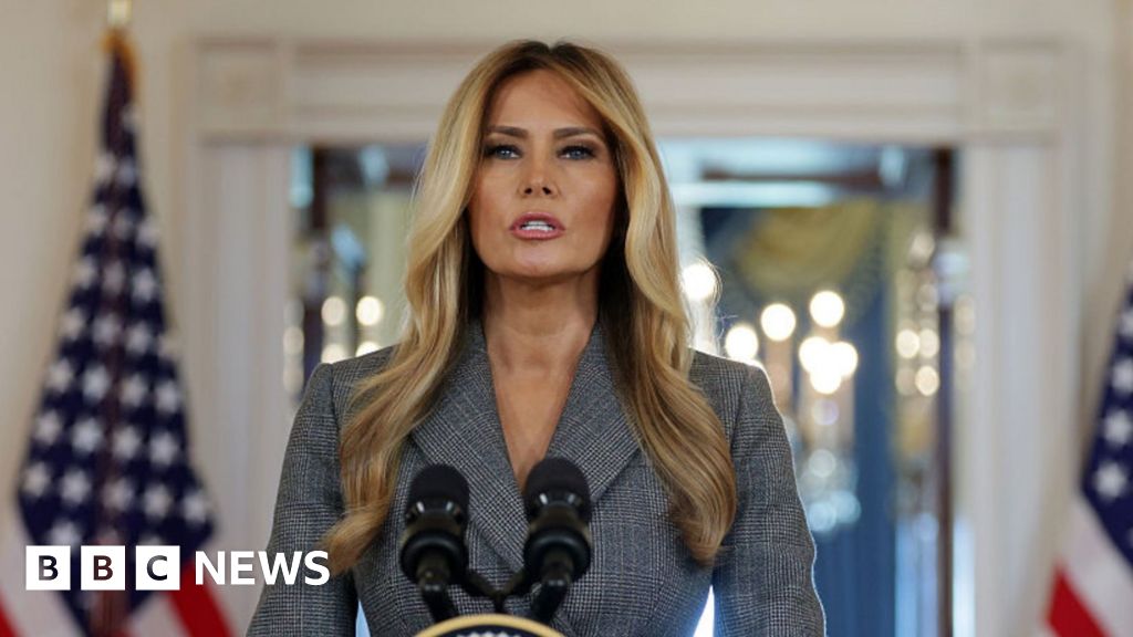 Melania Trump: 'I never had a relationship with Epstein'