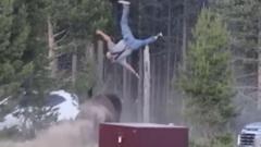 'He launched me in the air' -  Grandfather recounts terrifying Yellowstone Park bison attack